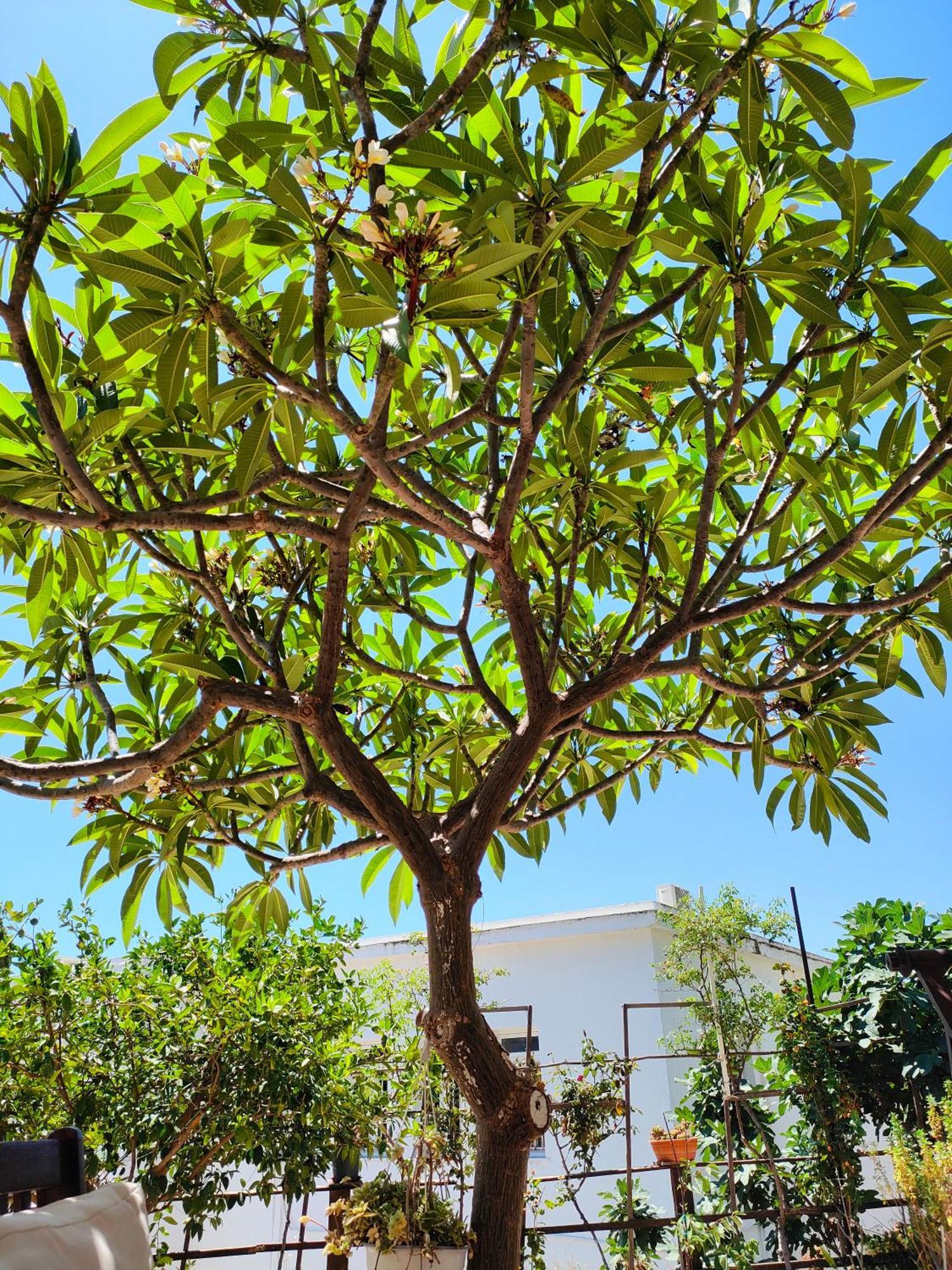 Sky-Line Apartments Afantou Extérieur photo