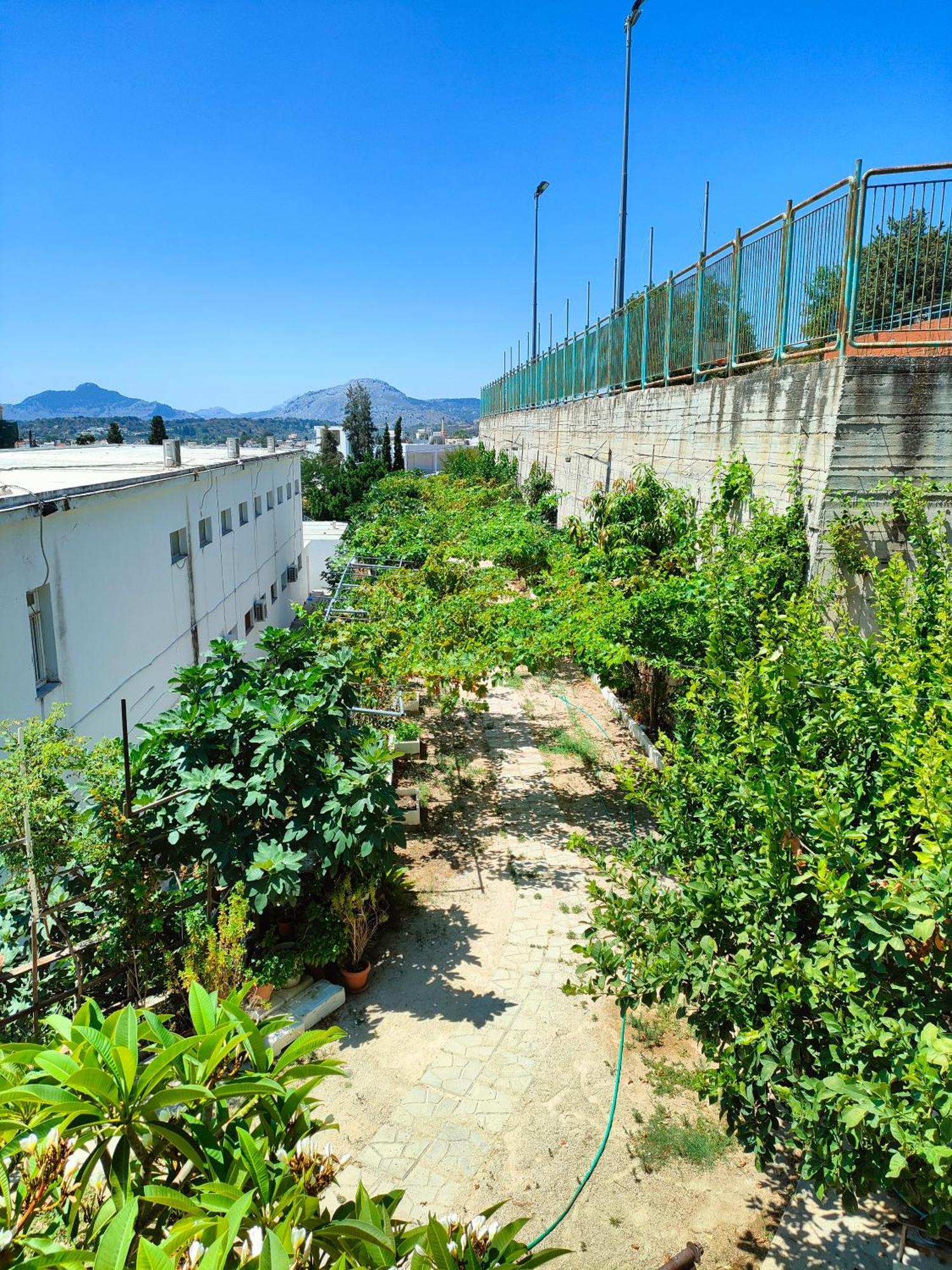 Sky-Line Apartments Afantou Extérieur photo